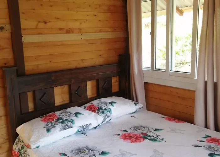 Mario'S Lodge Providencia Copey