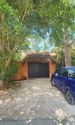 El Rincon Verde Playa del Carmen