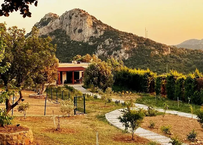 Lux In Nature Ekolia Bodrum