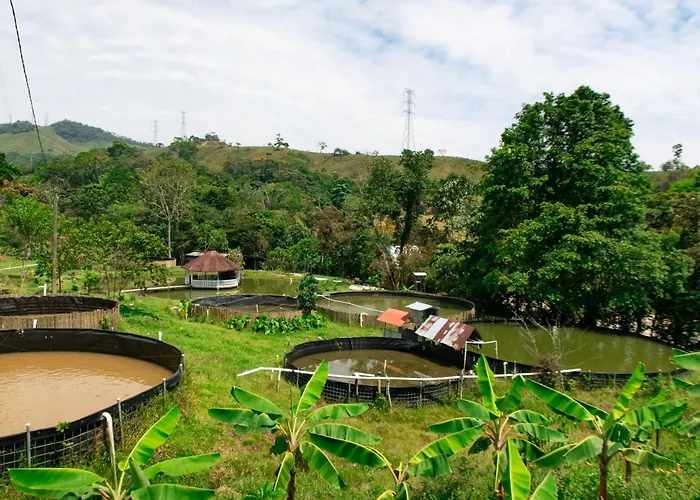 Hospedaje Riobosque San Carlos