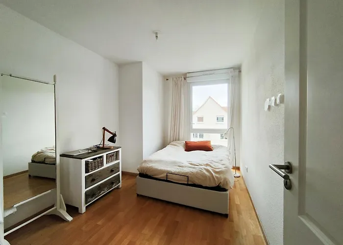 Spacieux Appartement Lumineux Colmar