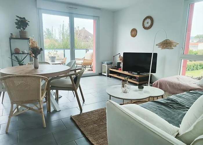 Spacieux Appartement Lumineux Colmar