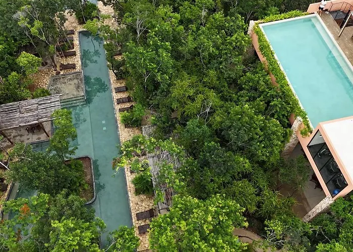 Paz Tranquilidad Y Comodidad Pet Friendly Tulum