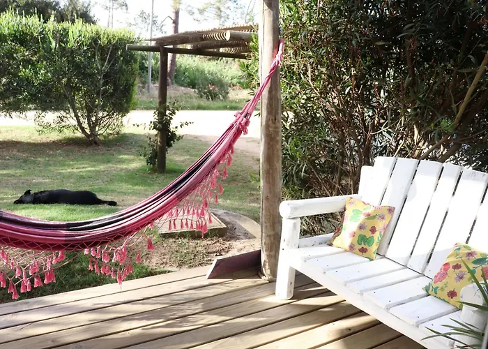 Cabana Sambinha La Paloma