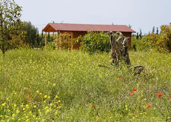 Villa Countryside'S Tiny House Ben Slimane