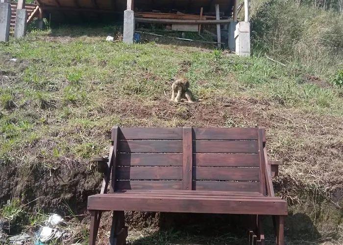 Hotel Picnic Del Ilalo Quito