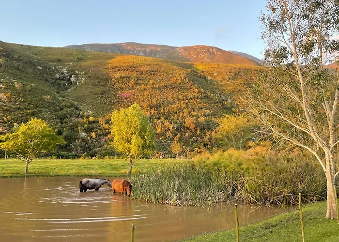 Villa Frog Mountain Getaway Swellendam
