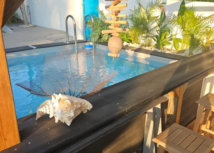 Ti Oasis Colibri, 1 Chambre, Piscine, A 150M De La Plage Sainte-Luce