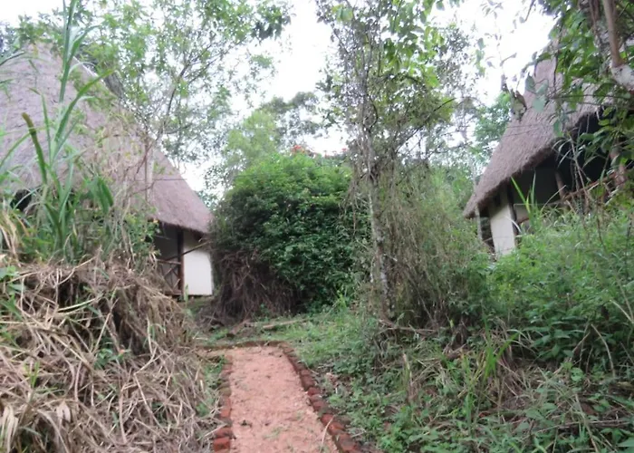 Kibale Forest Cottages And Campsite Fort Portal