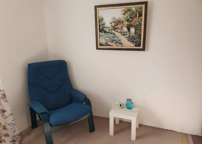 Vila Lela Vrnjačka Banja