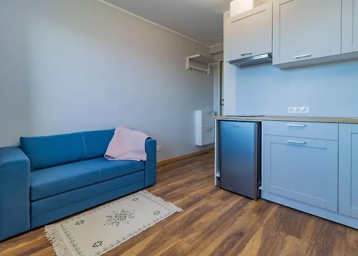Nice Studio Flat Reval