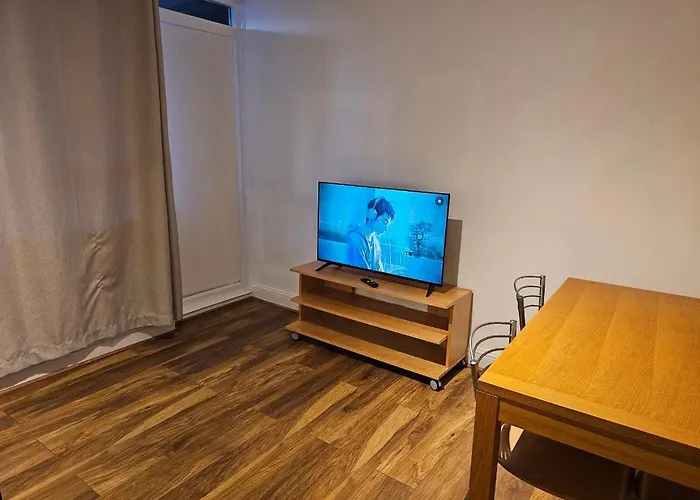 Entire Apartment Oval London