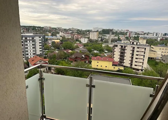 Olive - A Fresh Beginning Iasi