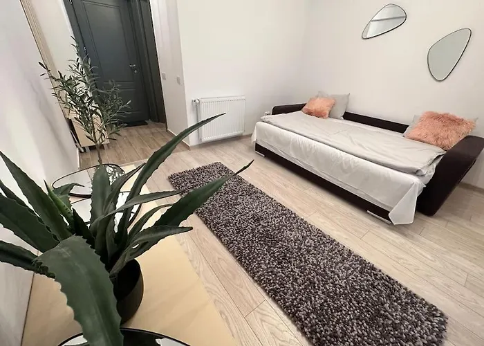 Olive - A Fresh Beginning Iasi