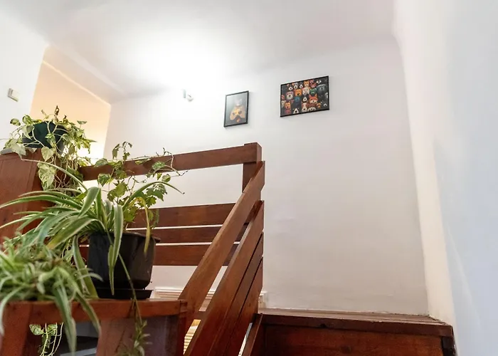 Beer&Caffe Apartment Subotica