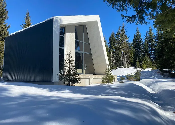 Villa Olympic Oasis Jahorina