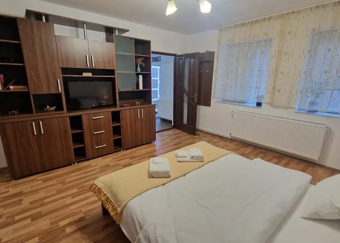 Ferienwohnung Ciorogariu5 Oradea