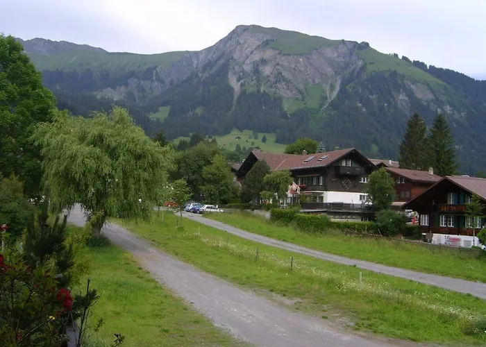 Apartment Daepp # 2 By Interhome Lenk im Simmental
