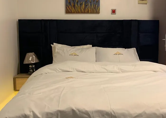 Hotel Spintex & Tours Akkra