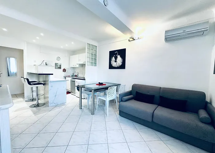 Grand Appartement Centre Pieton Cannes