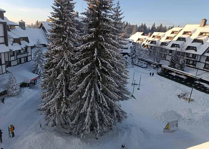 Apartmani Iva Kop Konaci Kopaonik