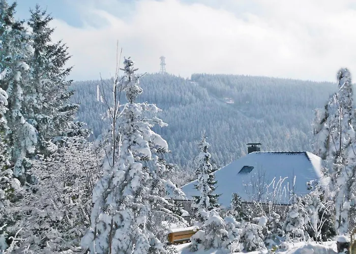 Premium-Ferienwohnungen Bergblick im Haus Hopfe Goslar