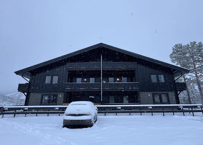Spacious Apartment Near Hemsedal Ski Resort