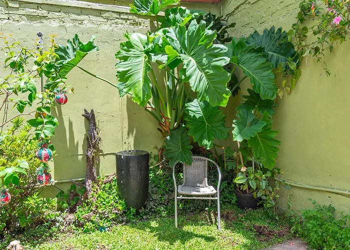Casa A 900M Da Rua Coberta, Unica E Espacosa Gramado
