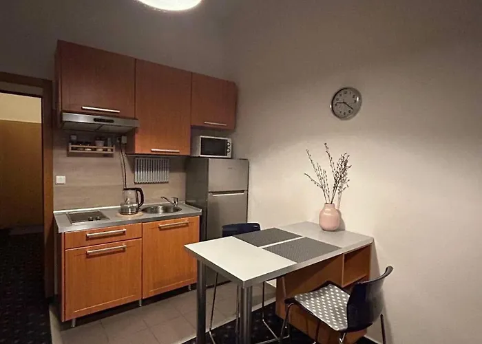 Vysehrad Studio Near The Congress Centre, New Bed Prag