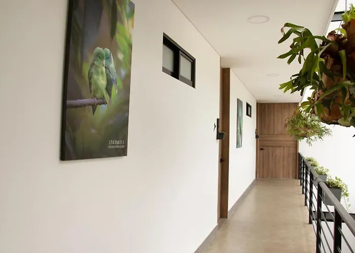 Norte Cali - Bosque Living -203