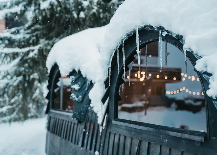 Flem Mountain Lodge Flims