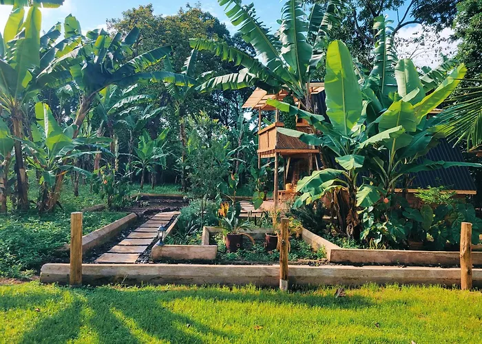 Natural Villa Arusha