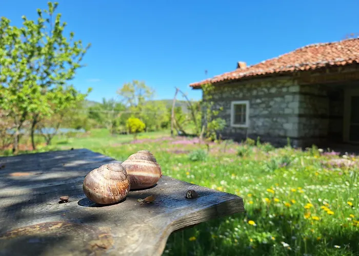 Revita Stone House Elbasan