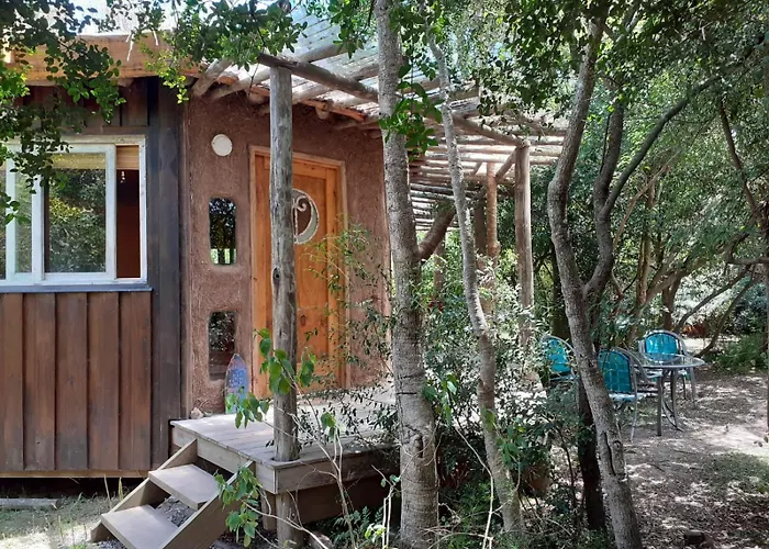 Peaceful Cabin In The Woods Ocean Park