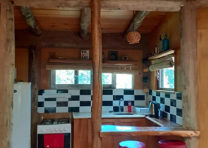 Peaceful Cabin In The Woods Ocean Park