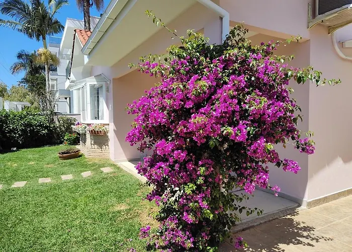Linda Casa 4 Quartos 450M Da Praia Dos Ingleses Florianópolis