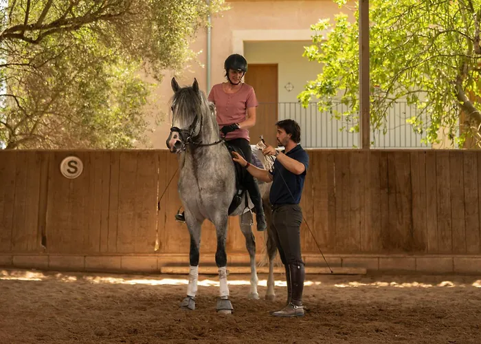 Finca Agroturismo Son Menut Felanitx