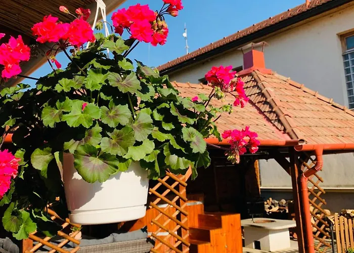 Ferienwohnung Aranyfuert Vendeghaz Gold Tokaj