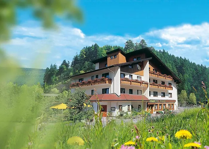 Sackmanns Wanderhotel Löwen Baiersbronn