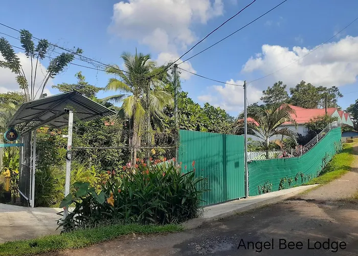 Angel Bee Lodge La Fortuna