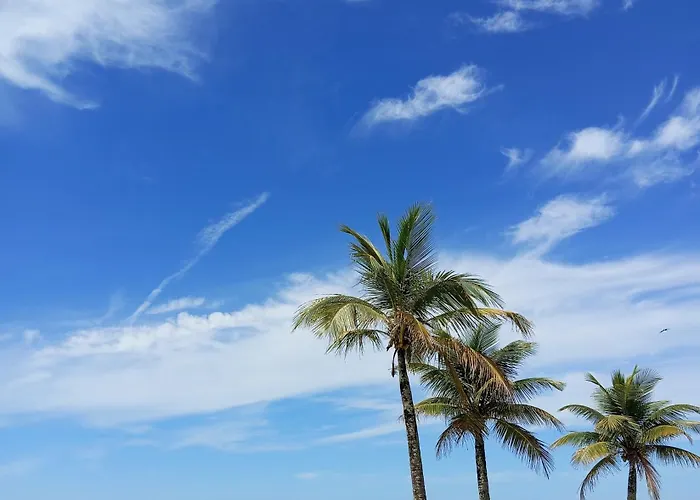 Bitenca Pe Na Areia Praia Grande 