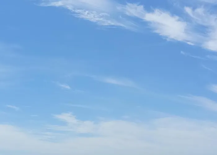 Bitenca Pe Na Areia Praia Grande 