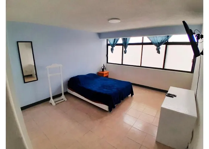 Confort Y Descanso En El Corazon De La Ciudad De Mexico