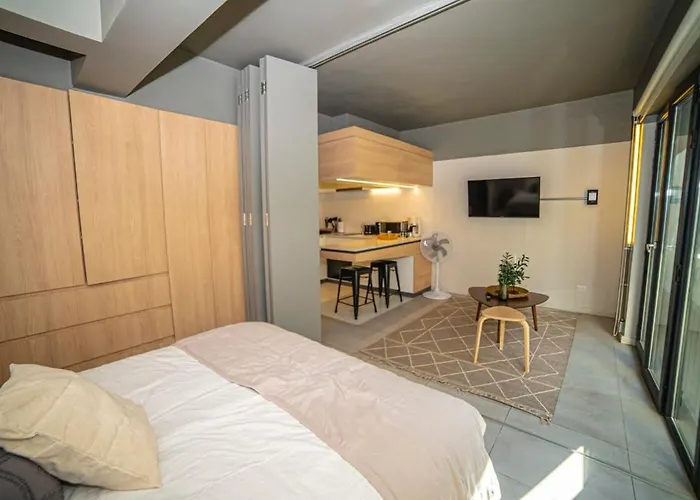 Exclusive Apartment In The Center Of Providencia Santiago de Chile