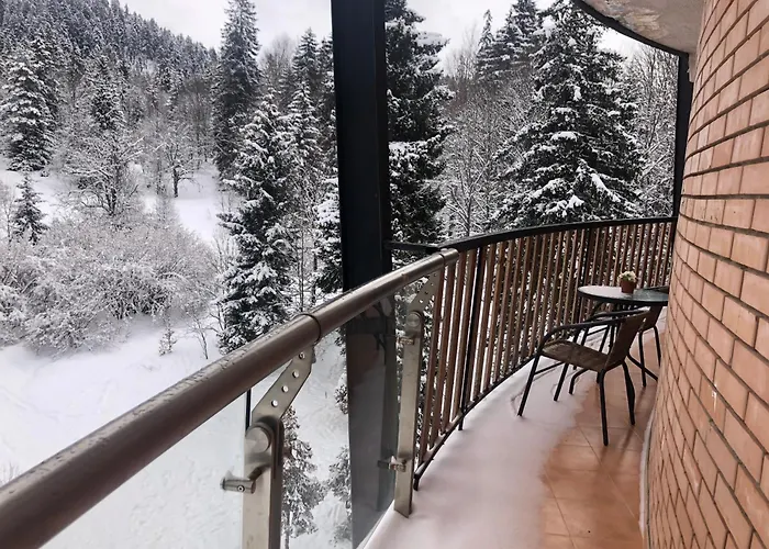 House In Forest Bakuriani