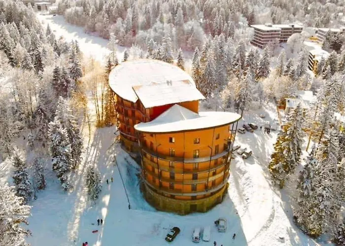 House In Forest Bakuriani