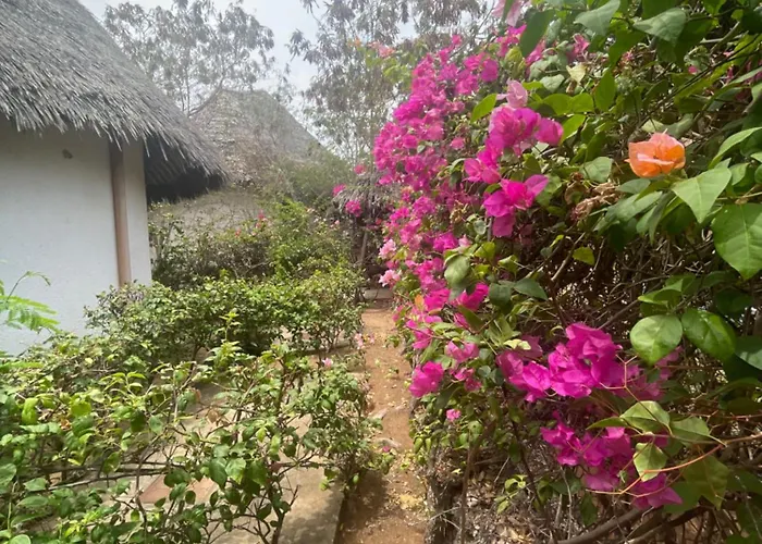 Red Sunshine Villa Mayungu To Watamu Your Tropical Dream Malindi