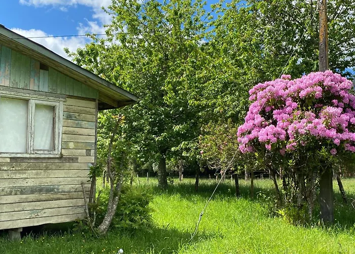 Villa Campo, Tranquilidad, Relax Y Buenos Paisajes Osorno