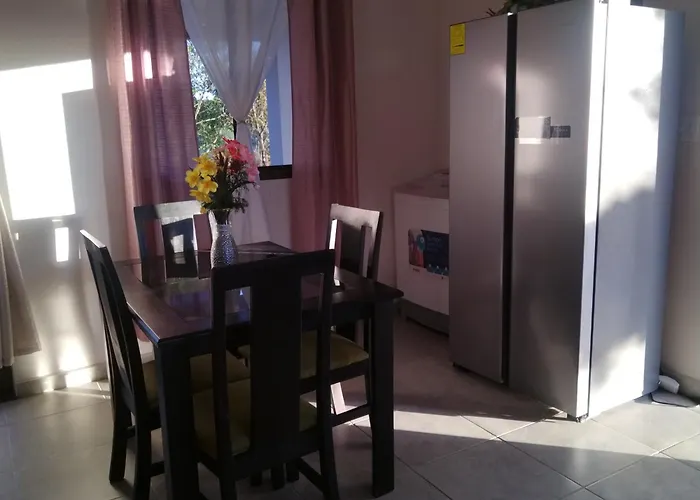 Lis Home Palmira