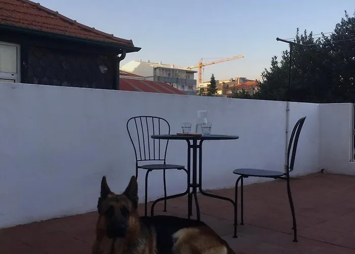 Ferienwohnung Porto'S Secret Backyard